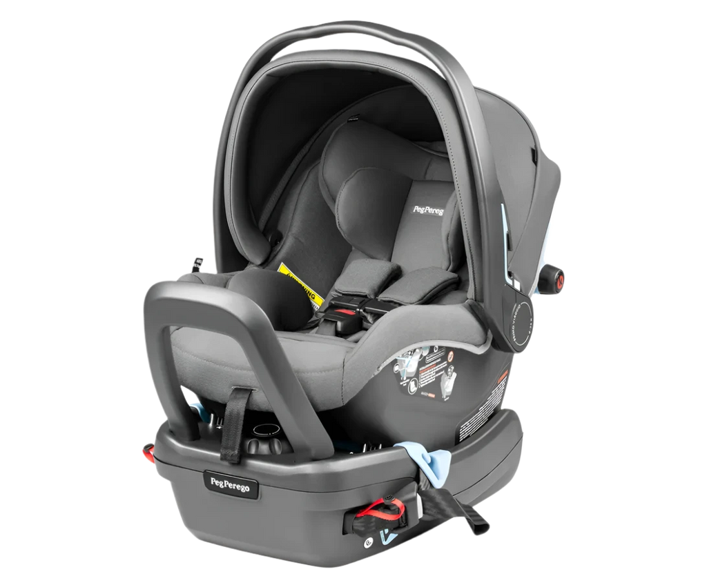 Agio by Peg Perego Primo Viaggio 4/35 Nido Infant Car Seat + Base