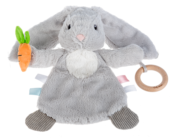 Baby Ganz | Downy Bunny Sensory Toy