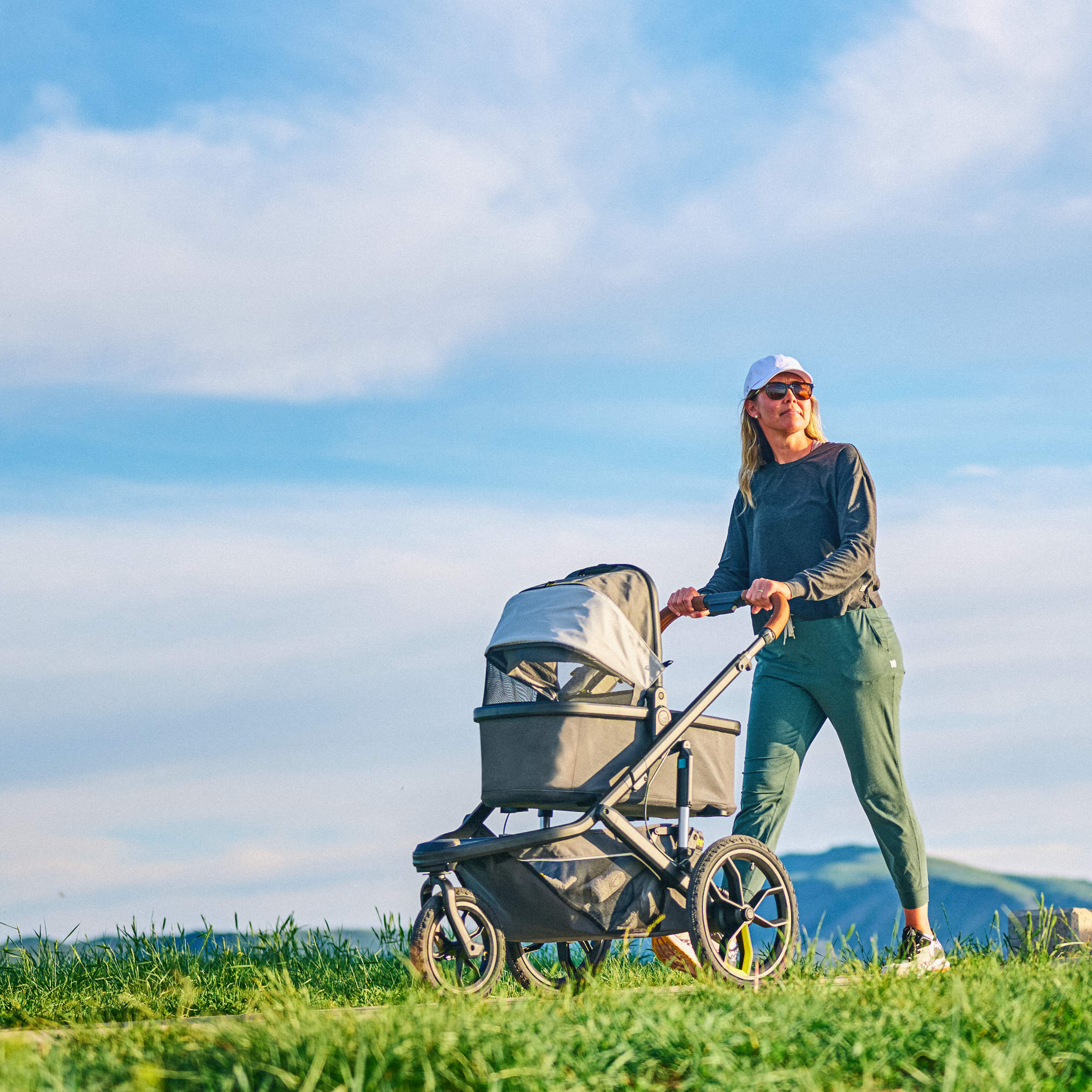 Veer | Switchback Bassinet