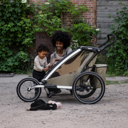 Thule Chariot All-Terrain Kit