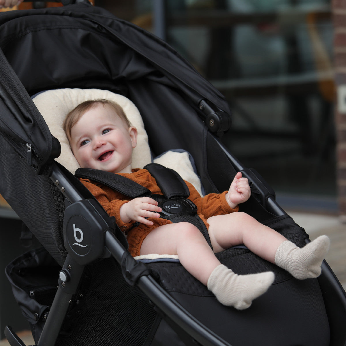 Britax | Head and Body Support Pillow