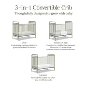 Namesake Abigail 3-in-1 Convertible Crib