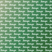 Sugar + Maple Plush Minky Fleece Personalized Blanket | Jungle Ombre