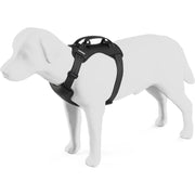 Thule Cappy Dog Car Harness