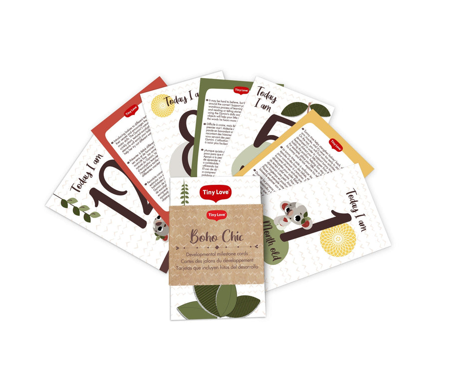 Tiny Love | Boho Chic Luxe Developmental Gymini