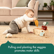 Tiny Love | My First Garden | Garden of Adventures