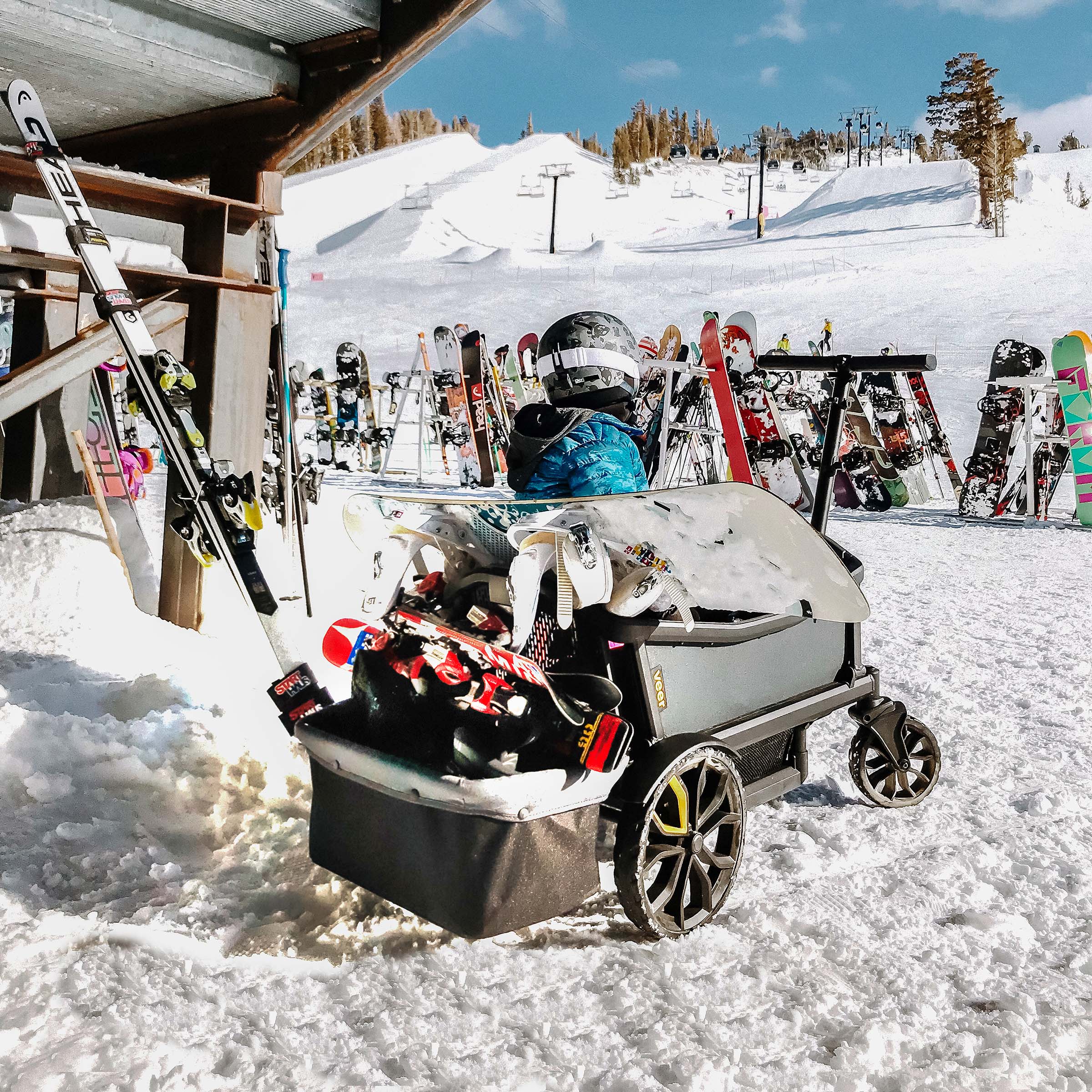 Veer | Cruiser Foldable Storage Basket