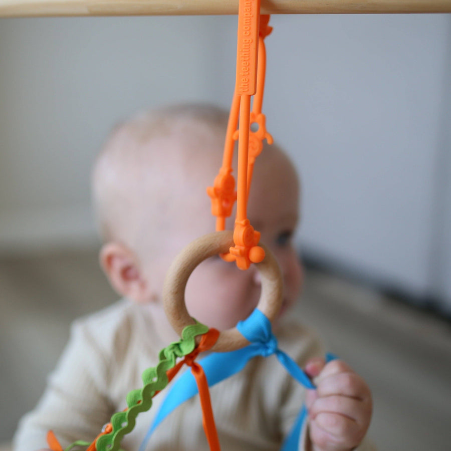 The Teething Company | On-the-Go Tethers