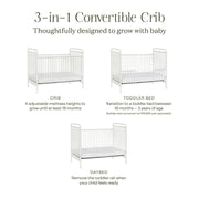 Namesake Abigail 3-in-1 Convertible Crib