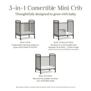 Namesake Abigail 3-in-1 Convertible Mini Crib