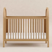 Babyletto Bondi Cane 3-in-1 Convertible Crib with Toddler Bed Conversion Kit