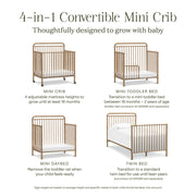 Namesake Winston 4-in-1 Convertible Mini Crib